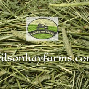 timothy hay for sale near me